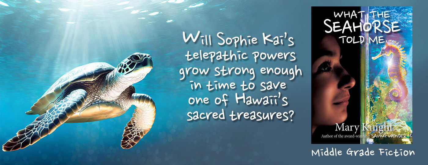 Sleight of Hand slide