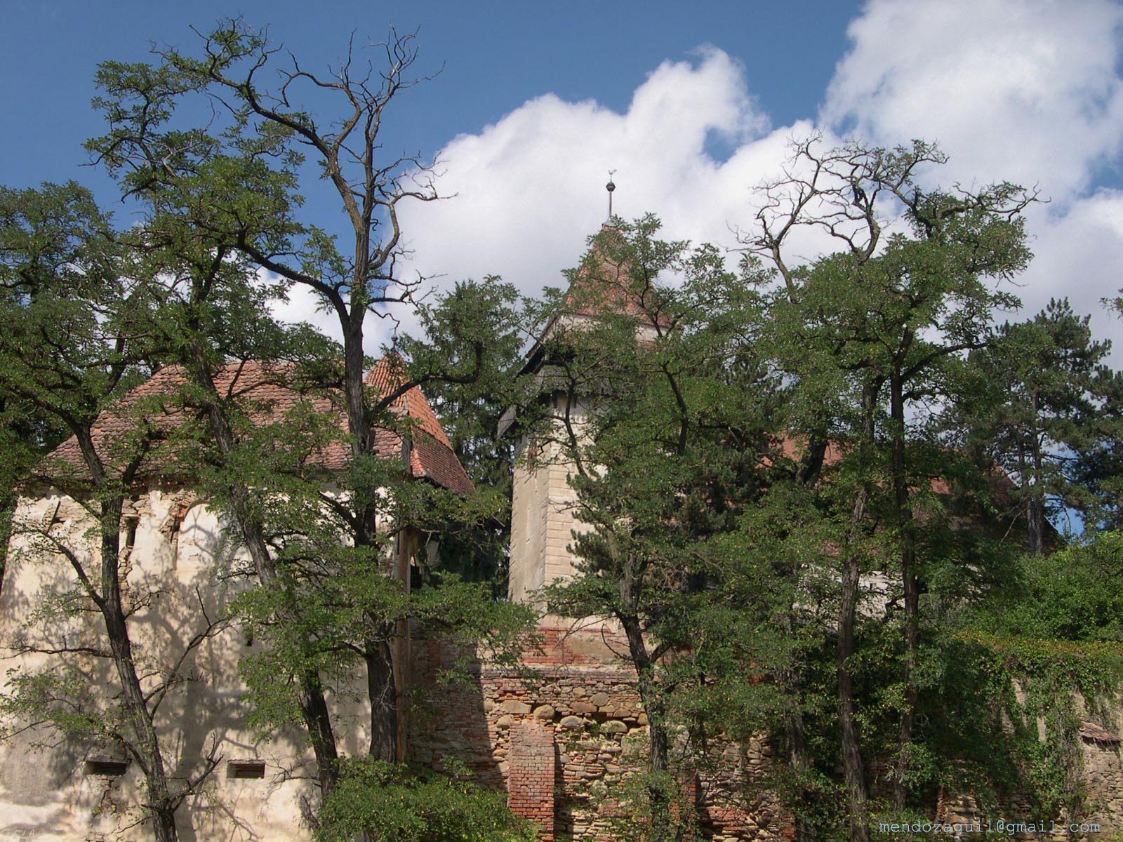 picture of sighisoara romania